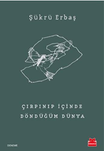 Çırpınıp İçinde Döndüğüm Dünya kitap kapağı