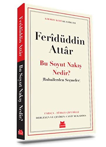 Bu Soyut Nakış Nedir ? kitap kapağı