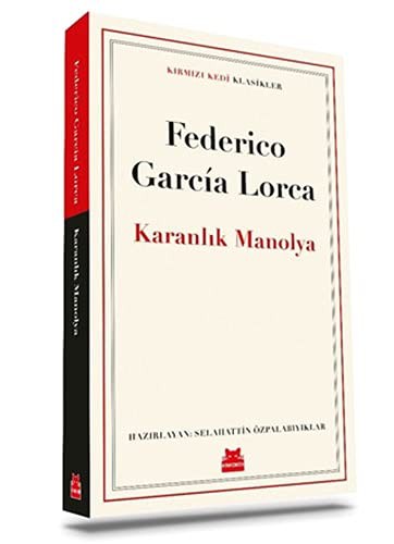 Karanlık Manolya kitap kapağı