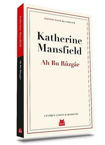 Ah Bu Rüzgar kitap kapağı