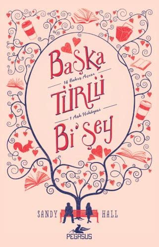 Başka Türlü Bi'şey kitap kapağı