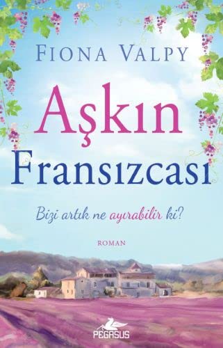 Aşkın Fransızcası kitap kapağı