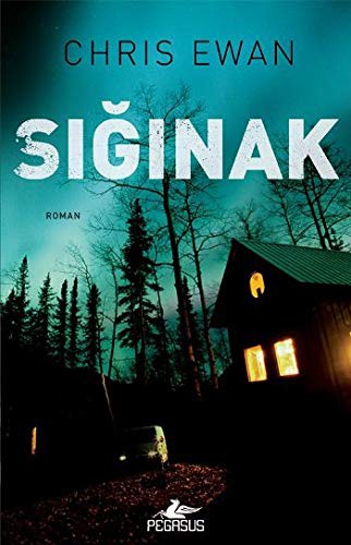 Sığınak kitap kapağı