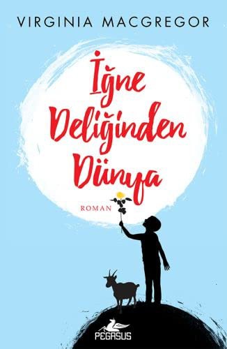 İğne Deliğinden Dünya kitap kapağı