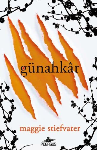 Günahkar kitap kapağı