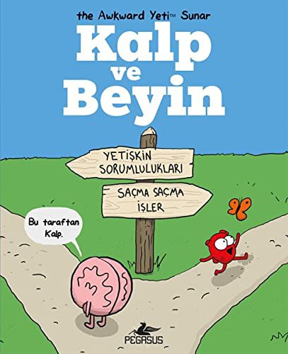 Kalp ve Beyin kitap kapağı