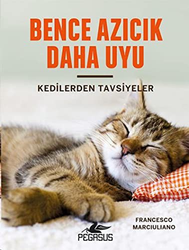 Bence Azıcık Daha Uyu (Ciltli) Kedilerden Tavsiyeler kitap kapağı