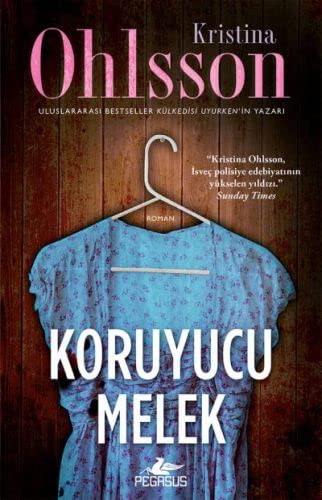 Koruyucu Melek kitap kapağı