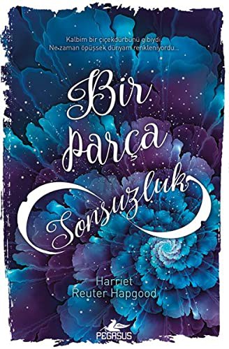 Bir Parça Sonsuzluk (Ciltli) kitap kapağı