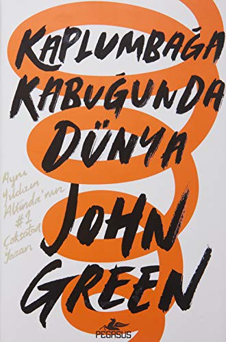 Kaplumbağa Kabuğunda Dünya (Ciltli) kitap kapağı
