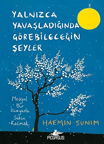 Yalnızca Yavaşladığında Görebileceğin Şeyler (Ciltli) kitap kapağı