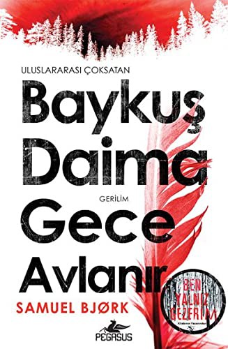Baykuş Daima Gece Avlanır kitap kapağı