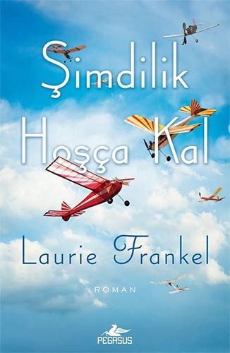 Şimdilik Hoşça Kal kitap kapağı
