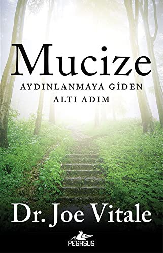 Mucize: Aydınlanmaya Giden Altı Adım kitap kapağı