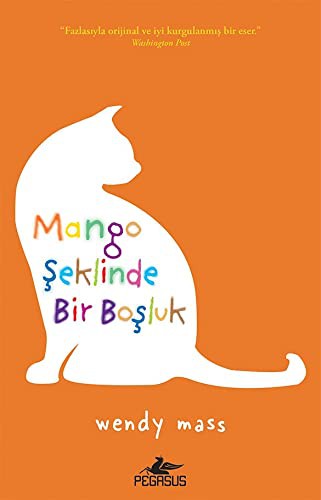 Mango Şeklinde Bir Boşluk kitap kapağı