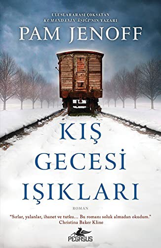 Kış Gecesi Işıkları kitap kapağı