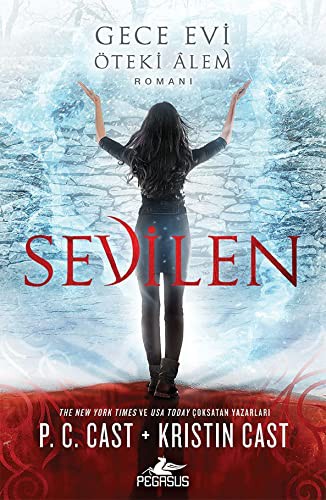 Sevilen & Gece Evi - Öteki Alem Romanı kitap kapağı