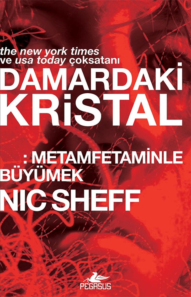 Damardaki Kristal: Metamfetaminle Büyümek kitap kapağı