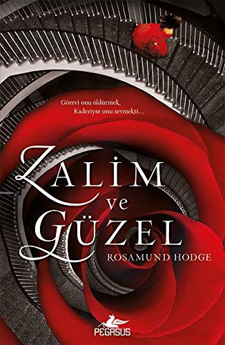 Zalim ve Güzel kitap kapağı