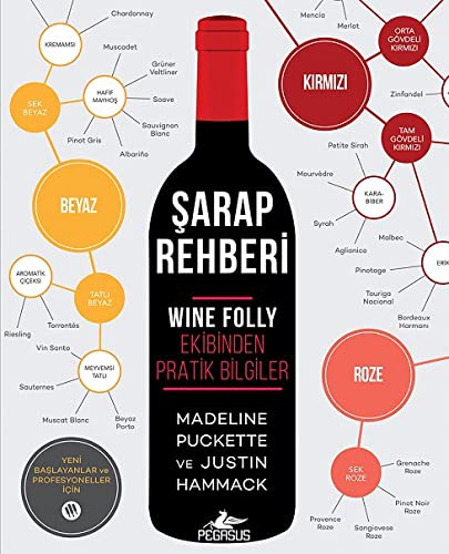 Şarap Rehberi Wine Folly Ekibinden Pratik Bilgiler kitap kapağı