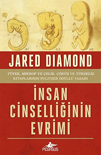 İnsan Cinselliğinin Evrimi kitap kapağı