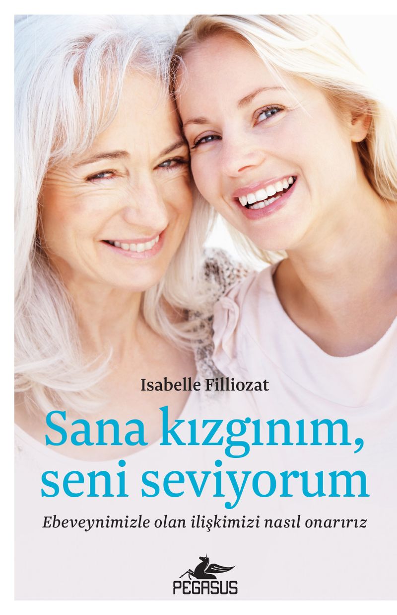 Sana Kızgınım, Seni Seviyorum kitap kapağı