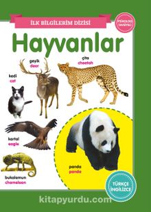 Hayvanlar / İlk Bilgilerim Dizisi kitap kapağı