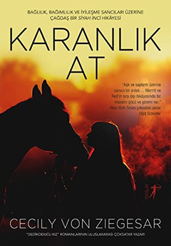 Karanlık At kitap kapağı