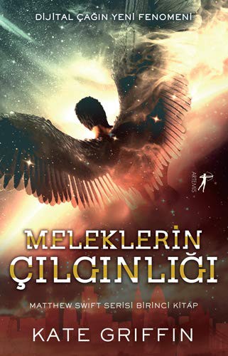 Meleklerin Çılgınlığı kitap kapağı