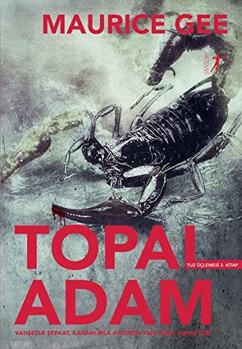 Topal Adam / Tuz Üçlemesi 3. Kitap kitap kapağı