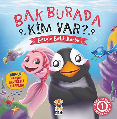 Bak Burada Kim Var - Gezgin Balık Barbu kitap kapağı