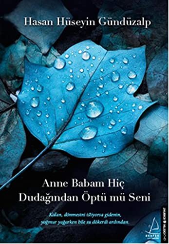 Anne Babam Hiç Dudağından Öptü mü Seni kitap kapağı