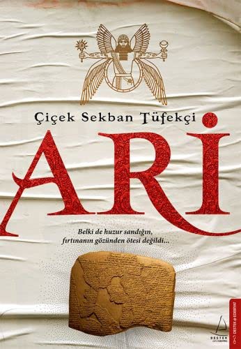 Ari kitap kapağı