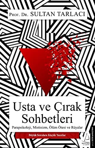 USTA VE ÇIRAK SOHBETLERİ kitap kapağı