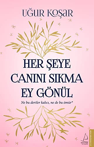 Her Şeye Canını Sıkma Ey Gönül kitap kapağı