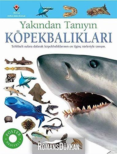 Köpekbalıkları - Yakından Tanıyın kitap kapağı