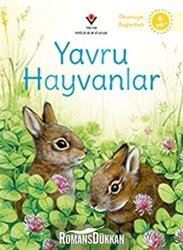Yavru Hayvanlar / Okumaya Başlarken kitap kapağı