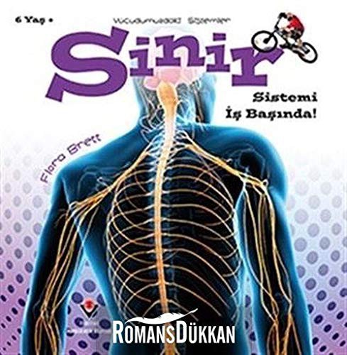 Sinir Sistemi İş Başında! - Vücudumuzdaki Sistemler kitap kapağı