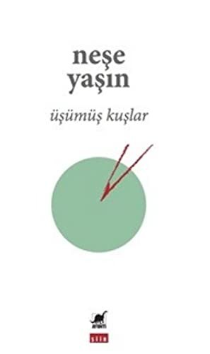 Üşümüş Kuşlar kitap kapağı
