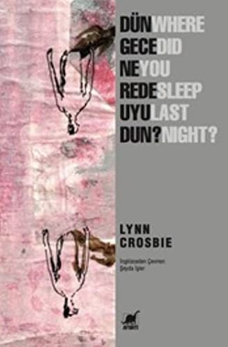 Dün Gece Nerede Uyudun? kitap kapağı
