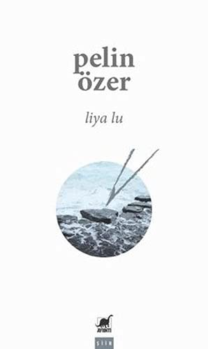 Liya Lu kitap kapağı