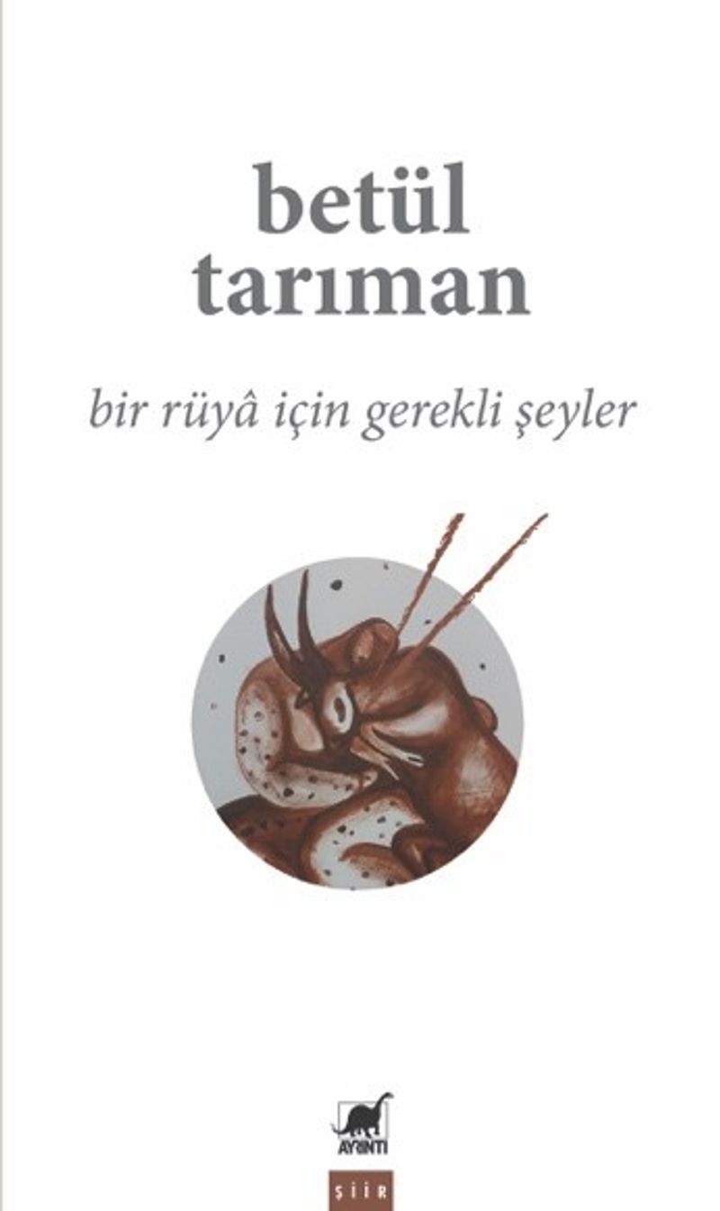 Bir Rüya İçin Gerekli Şeyler kitap kapağı