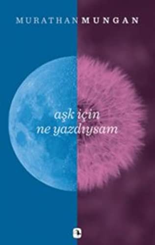 Aşk İçin Ne Yazdıysam kitap kapağı