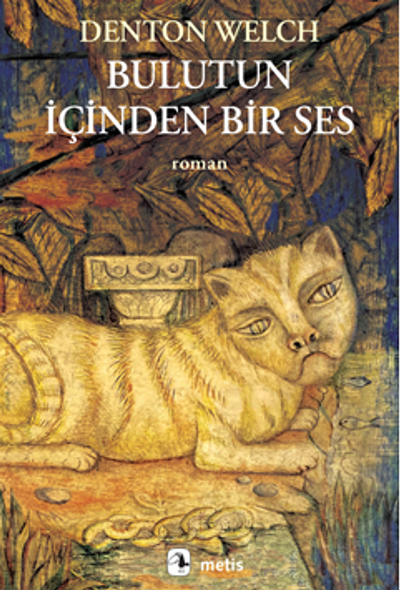 Bulutun İçinden Bir Ses kitap kapağı