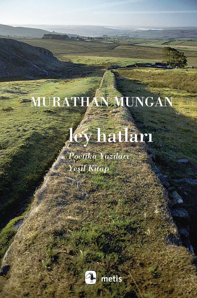 Ley hatları kitap kapağı