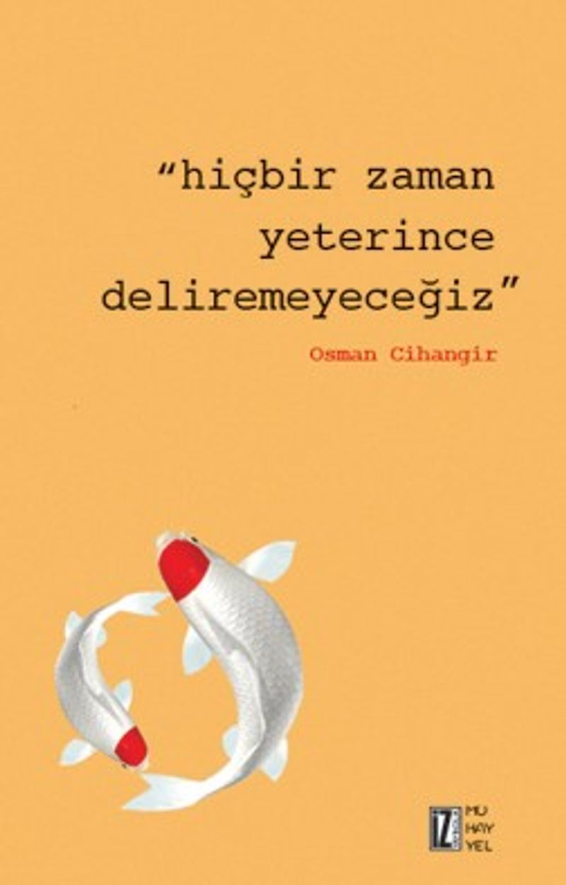 Hiçbir Zaman Yeterince Deliremeyeceğiz kitap kapağı