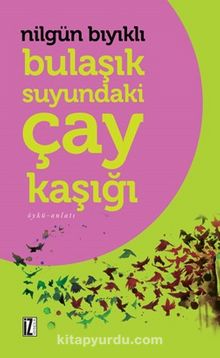 Bulaşık Suyundaki Çay Kaşığı kitap kapağı