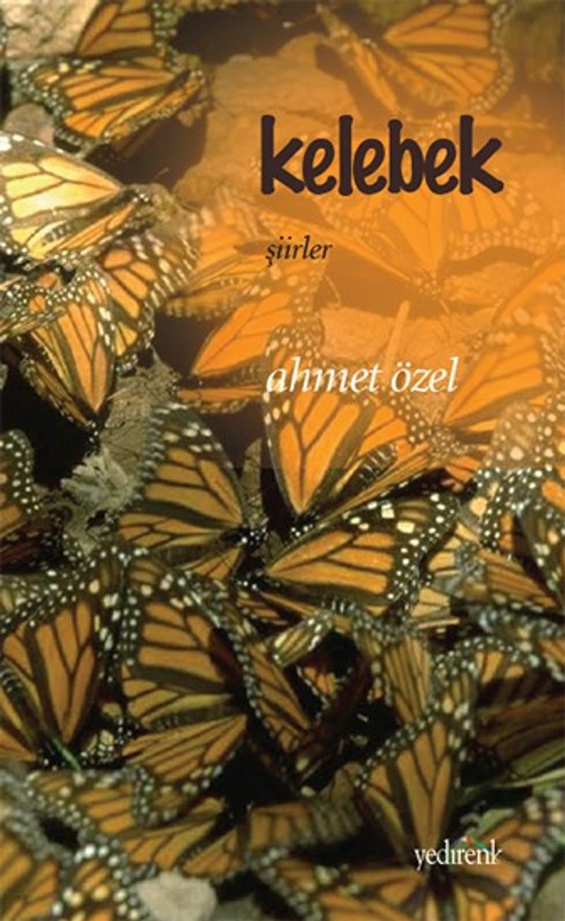 Kelebek kitap kapağı