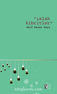 Islak Kibritler kitap kapağı