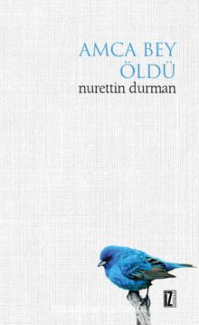 Amca Bey Öldü kitap kapağı